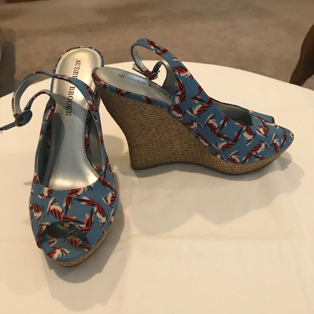 Blue Wedges